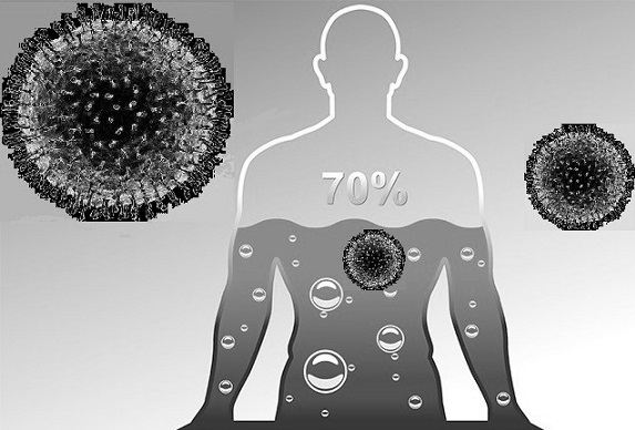 The Human Body and the Pandemic