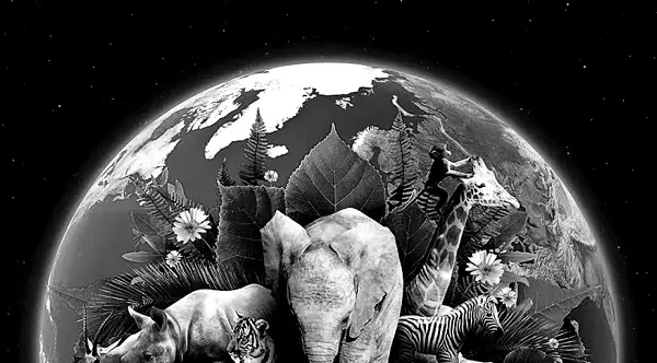 We are all the earth