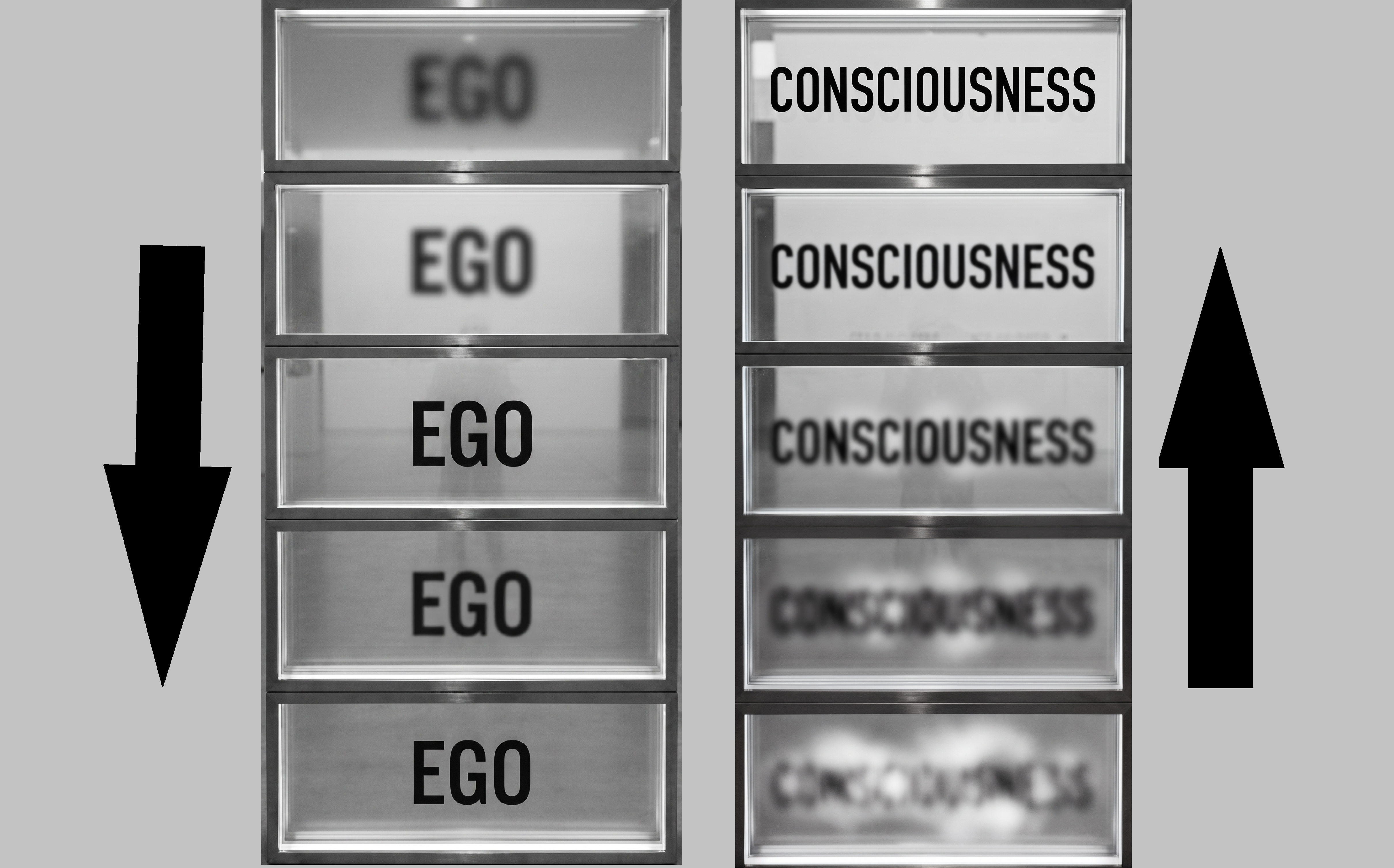 Consciousness vs Ego